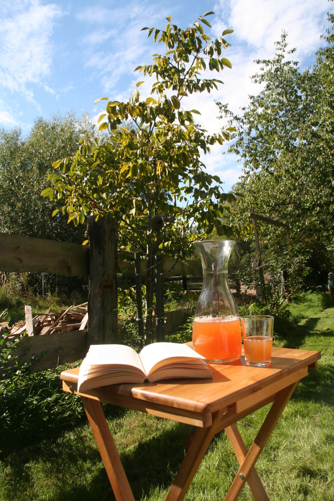 Garten